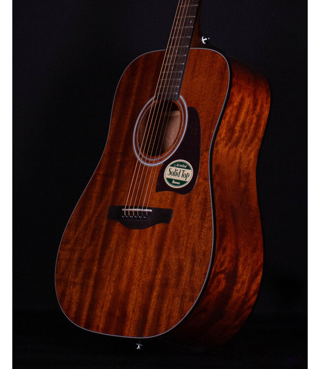 Ibanez AW54 Acoustic, Open Pore Natural