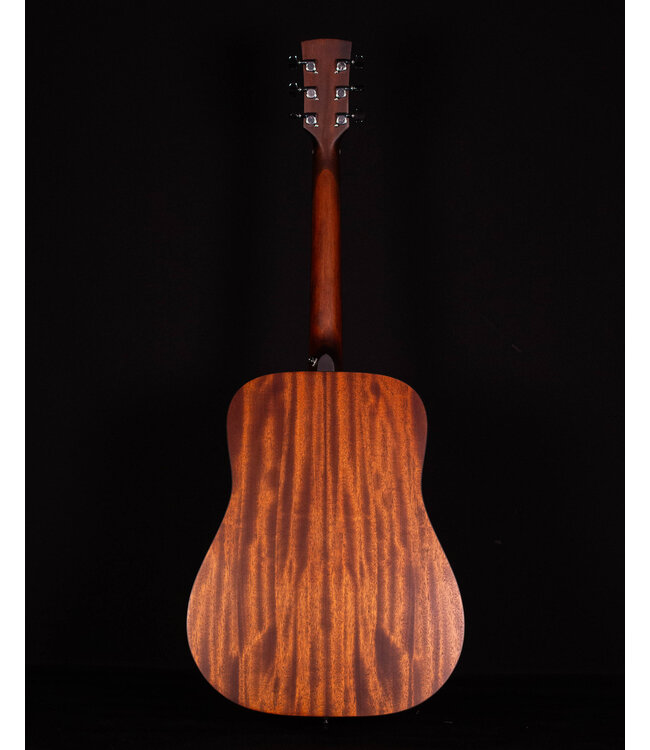 Ibanez AW54 Acoustic, Open Pore Natural