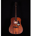 Ibanez AW54 Acoustic, Open Pore Natural