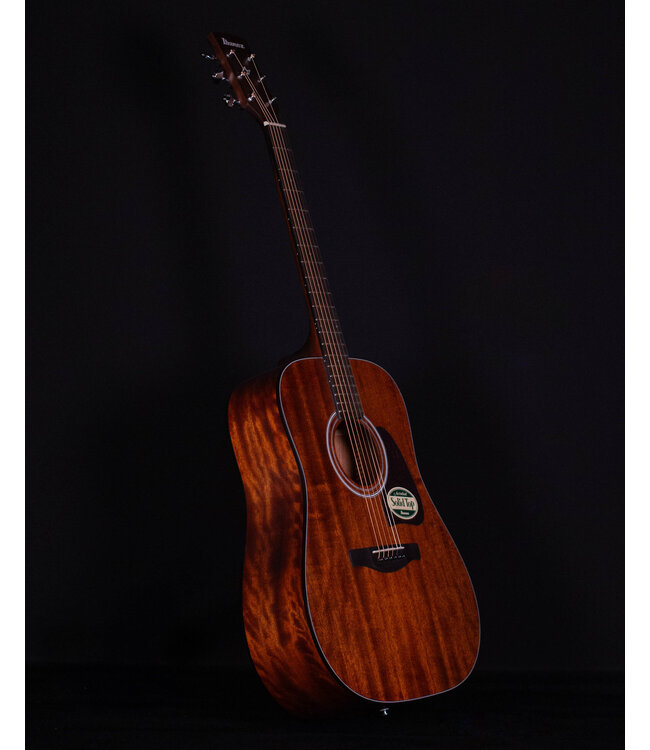 Ibanez AW54 Acoustic, Open Pore Natural