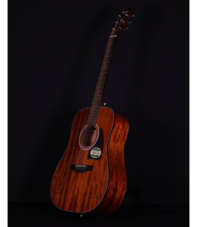 Ibanez AW54 Acoustic, Open Pore Natural