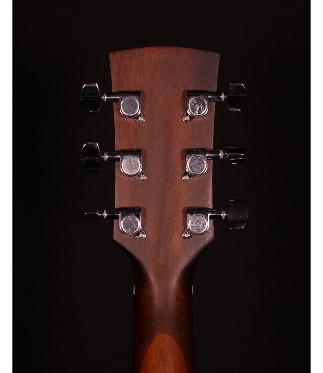 Ibanez AW54 Acoustic, Open Pore Natural