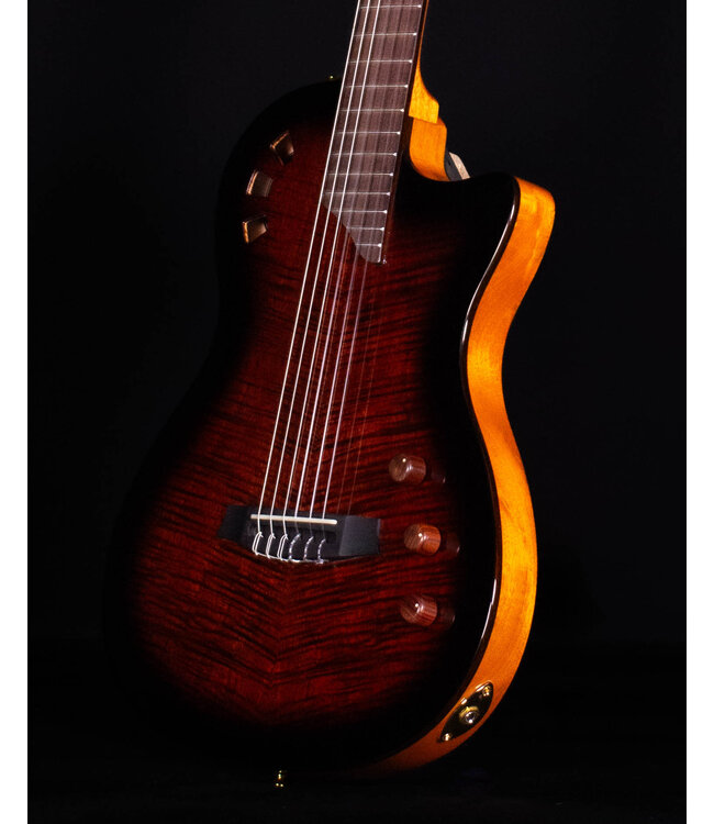 Cordoba Fusion Crossover Nylon Stage Guitar, Edgeburst