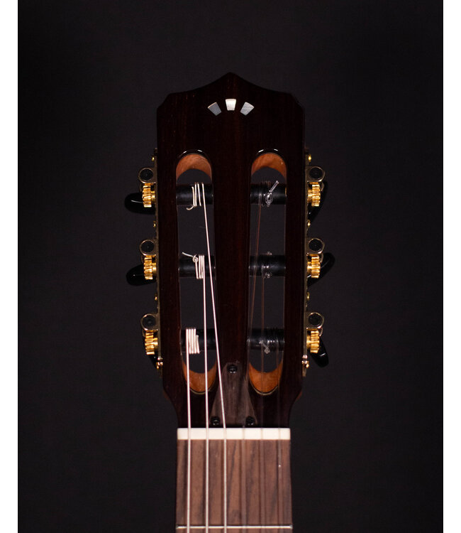 Cordoba Fusion Crossover Nylon Stage Guitar, Edgeburst