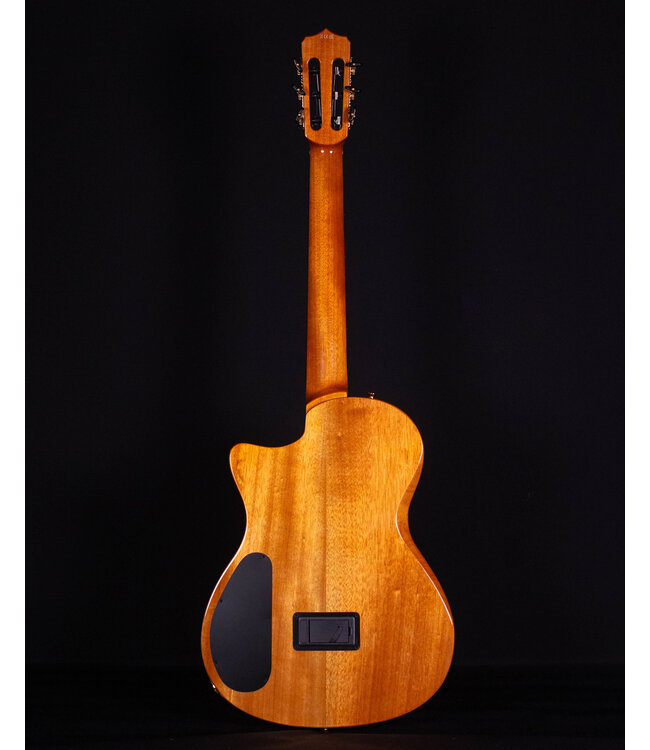 Cordoba Fusion Crossover Nylon Stage Guitar, Edgeburst