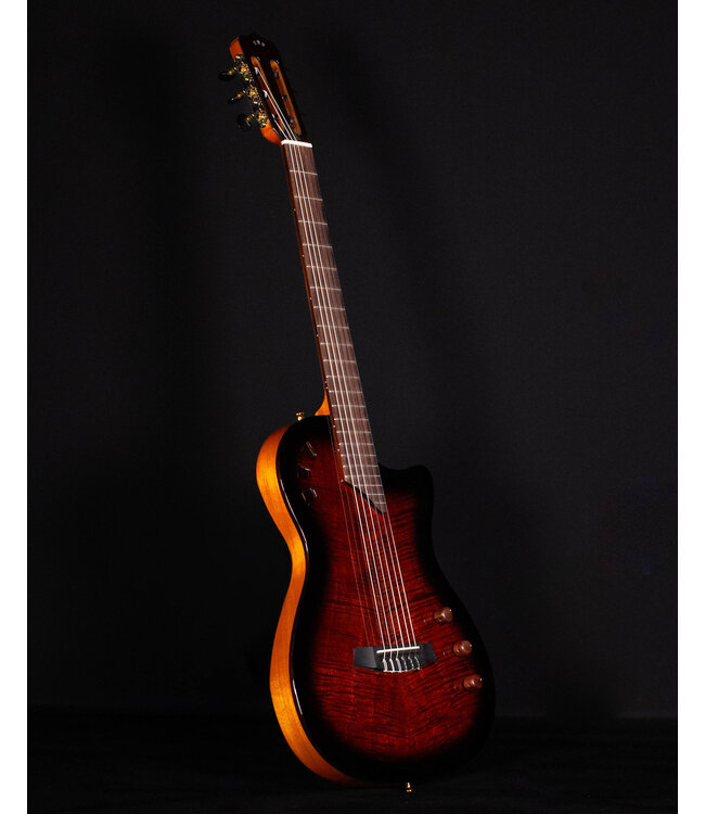 Cordoba Fusion Crossover Nylon Stage Guitar, Edgeburst