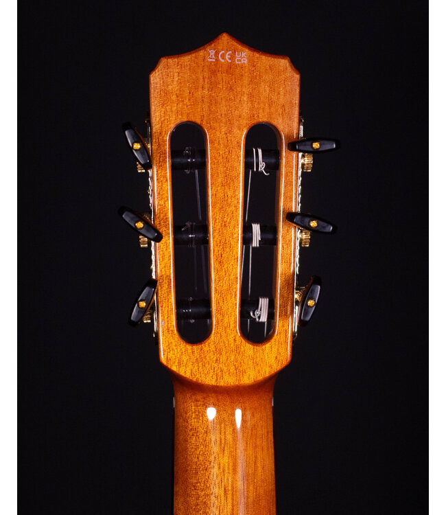 Cordoba Fusion Crossover Nylon Stage Guitar, Edgeburst