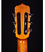 Cordoba Fusion Crossover Nylon Stage Guitar, Edgeburst
