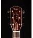 Taylor Legacy 810e Special Edition, Heritage Burst