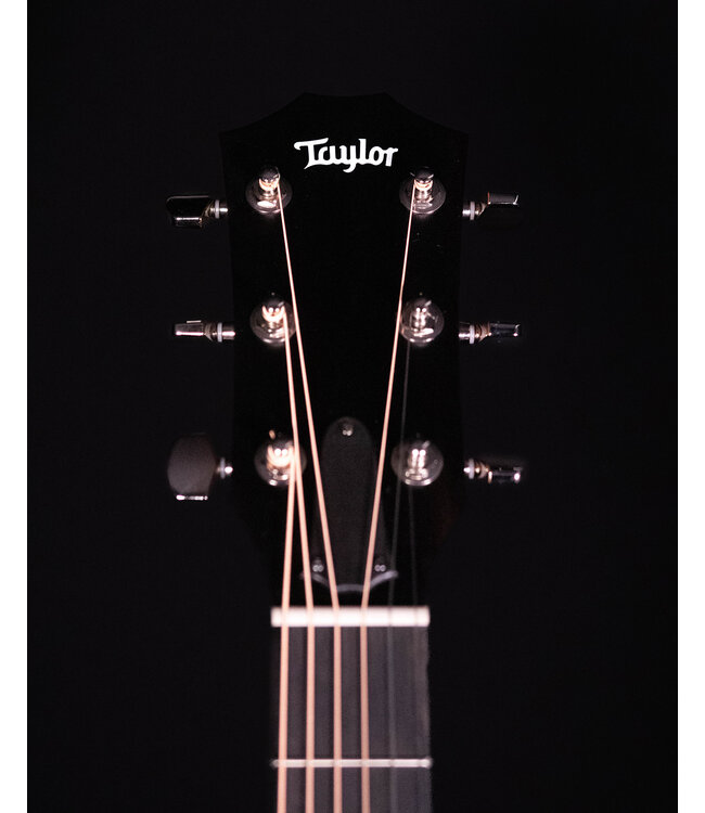 Taylor 214ce Plus, Natural