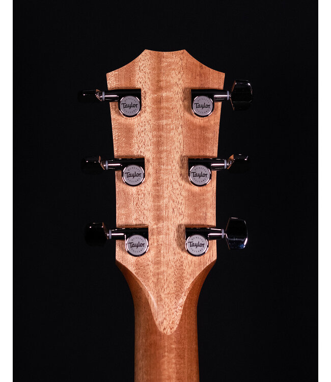 Taylor 214ce Plus, Natural