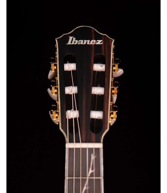 Ibanez TOD10N Tim Henson Nylon Signature Model, Transparent Black Flat