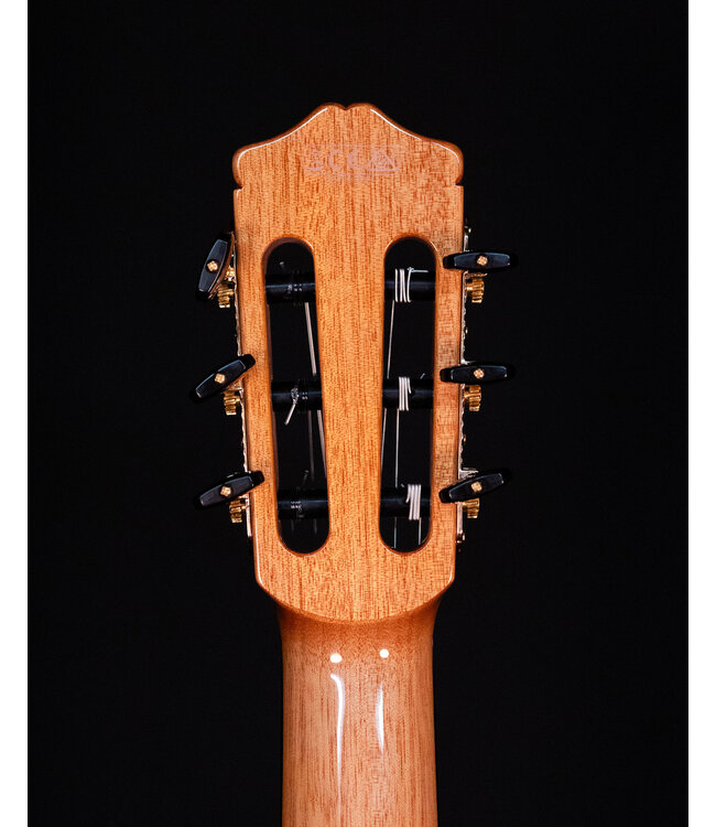 Cordoba C7-CE Cedar Top Nylon String Guitar