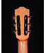 Cordoba C7-CE Cedar Top Nylon String Guitar