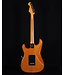 Fender American Professional II Stratocaster, Rosewood FB, Roasted Pine