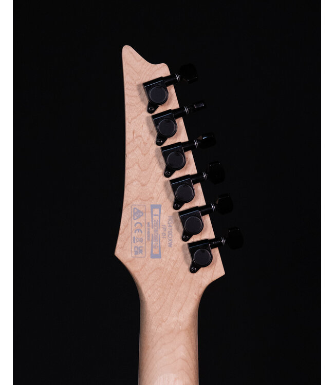 Ibanez RG470DX Electric Guitar, Wine Red Frozen Matte