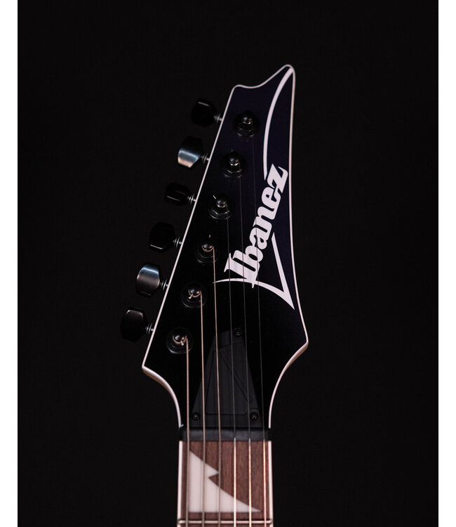 Ibanez RG421DX Electric Guitar, Twilight Shade