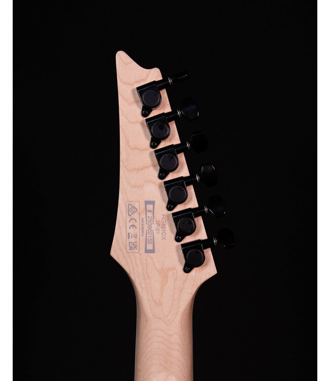 Ibanez RG421DX Electric Guitar, Twilight Shade