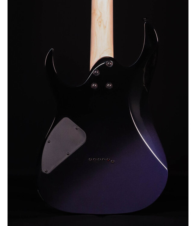 Ibanez RG421DX Electric Guitar, Twilight Shade