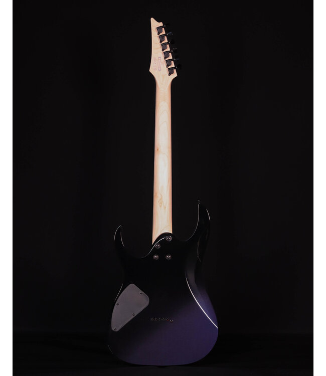 Ibanez RG421DX Electric Guitar, Twilight Shade