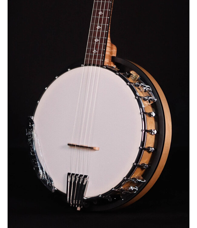 Gold Tone CC-100R 5-String Banjo, Includes Bag
