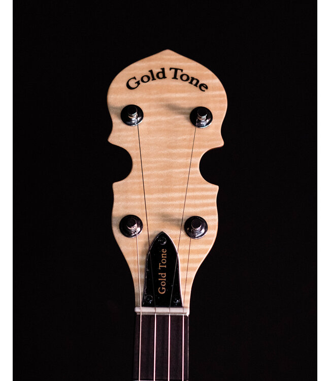 Gold Tone CC-100R 5-String Banjo, Includes Bag