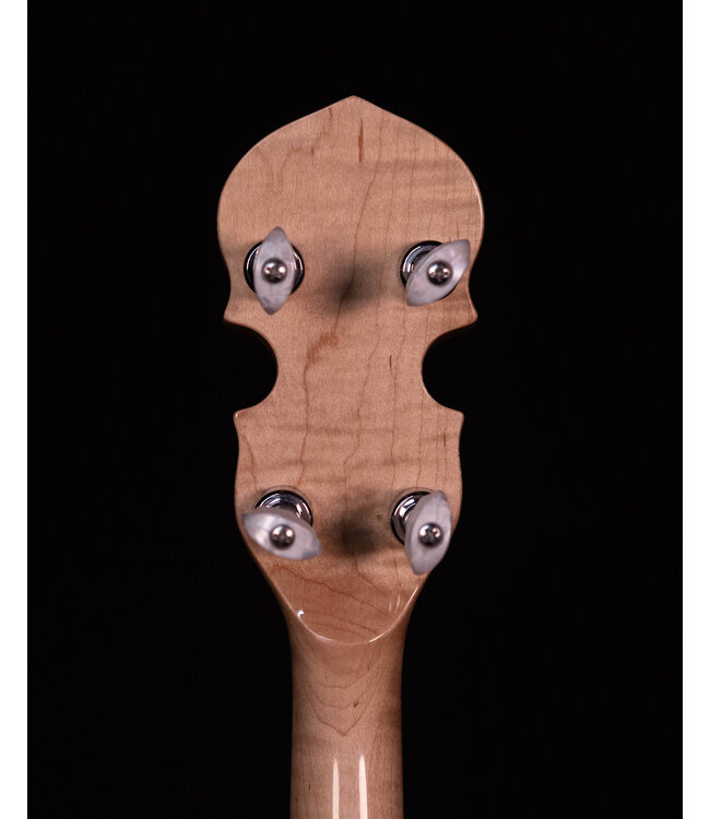 Gold Tone CC-100R 5-String Banjo, Includes Bag