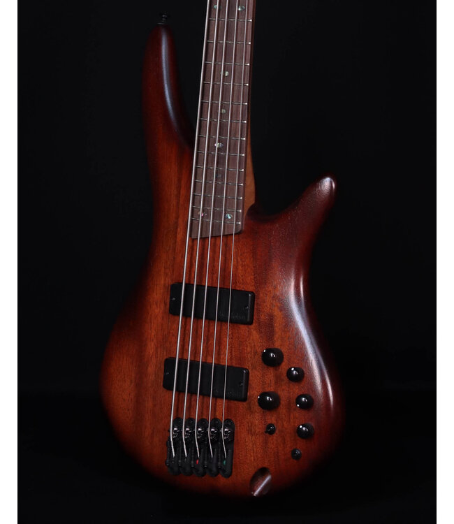 Ibanez SR505AMHL 5-String Bass, Mahogany Brown Burst Low Gloss