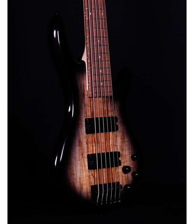 Ibanez GSR206SM 6-String Bass, Spalted Natural Grey Burst