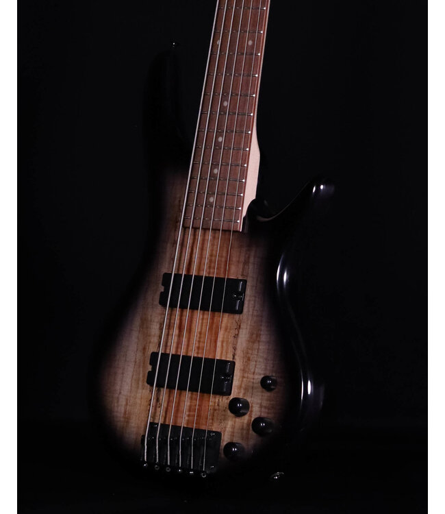 Ibanez GSR206SM 6-String Bass, Spalted Natural Grey Burst