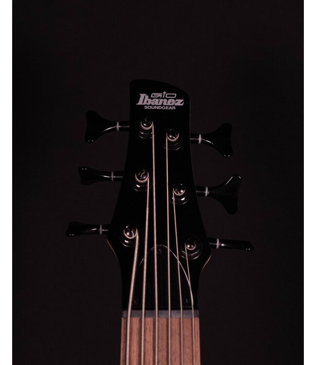Ibanez GSR206SM 6-String Bass, Spalted Natural Grey Burst