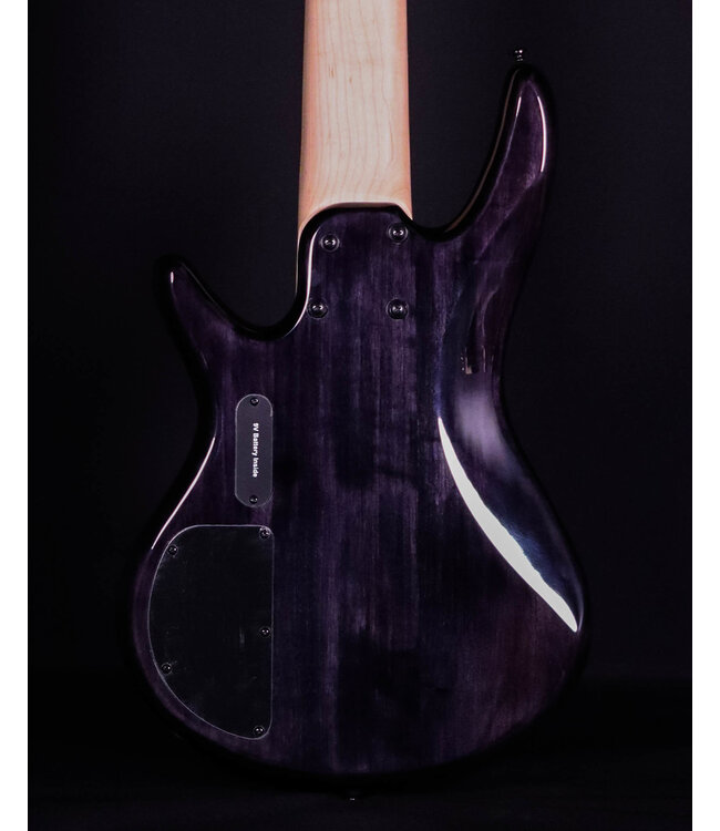 Ibanez GSR206SM 6-String Bass, Spalted Natural Grey Burst