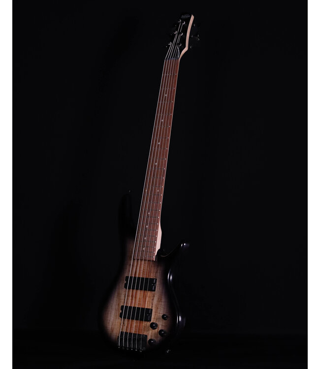 Ibanez GSR206SM 6-String Bass, Spalted Natural Grey Burst