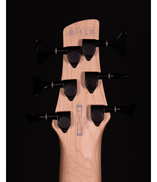 Ibanez GSR206SM 6-String Bass, Spalted Natural Grey Burst