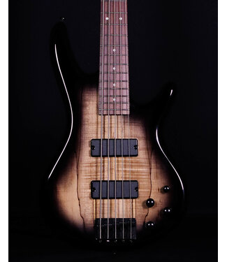 Ibanez Ibanez GSR205SM 5-String Bass, Spalted Natural Grey Burst