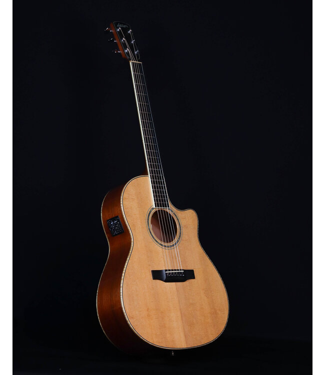 Larivee LV-05 Mahogany, w/Hard Shell Case, 2002 - USED