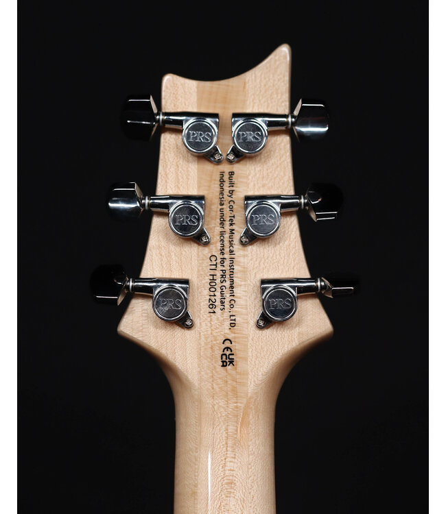 PRS SE Custom 24, Blue Matteo / Natural Back