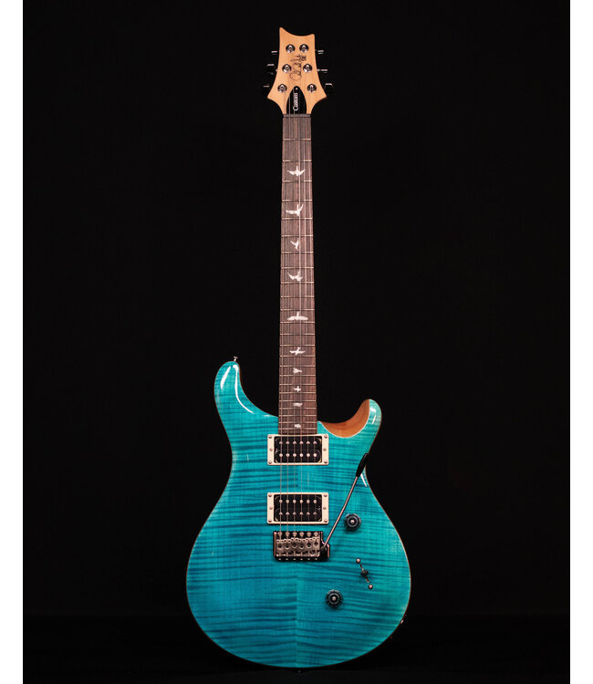 PRS SE Custom 24, Blue Matteo / Natural Back