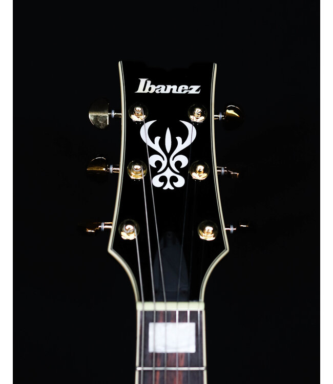 Ibanez AM73GBK Artcore Hollowbody Electric Guitar, Black