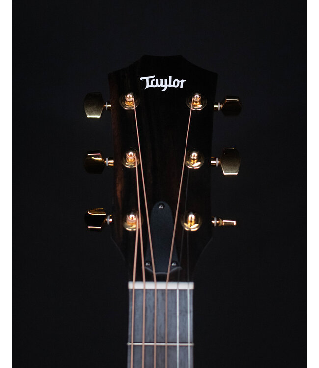 Taylor 224ce Deluxe, Shaded Edgeburst with Koa Back and Sides
