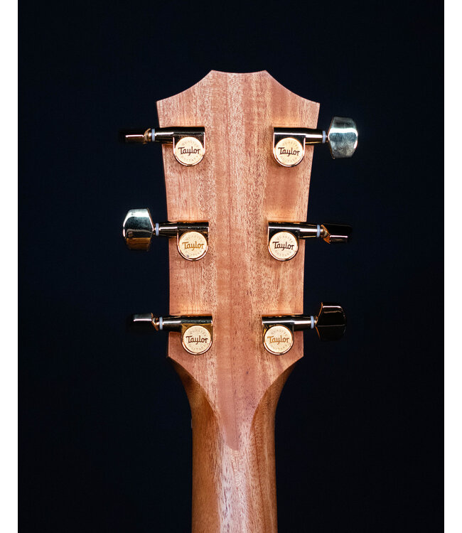 Taylor 224ce Deluxe, Shaded Edgeburst with Koa Back and Sides