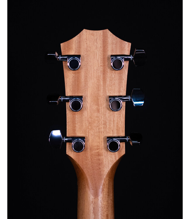 Taylor 214ce Grand Auditorium Acoustic Guitar with Gig Bag