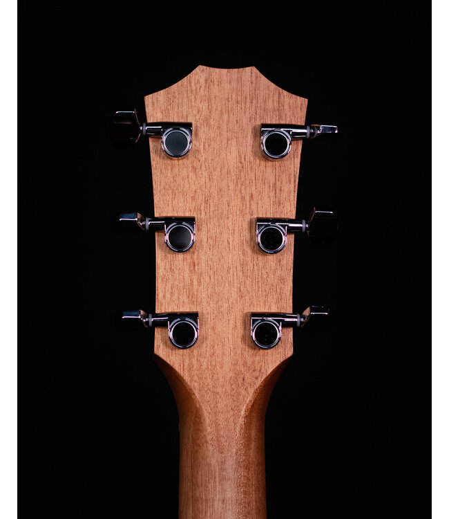 Taylor 117e Sapele Acoustic Electric Guitar