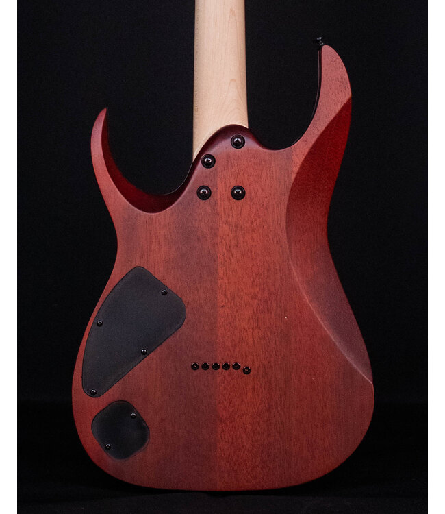 Ibanez RGA42FM Flame Maple Top Electric, Dragon Eye Flat