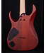 Ibanez RGA42FM Flame Maple Top Electric, Dragon Eye Flat