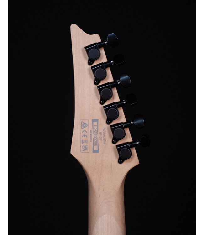 Ibanez RGA42FM Flame Maple Top Electric, Dragon Eye Flat