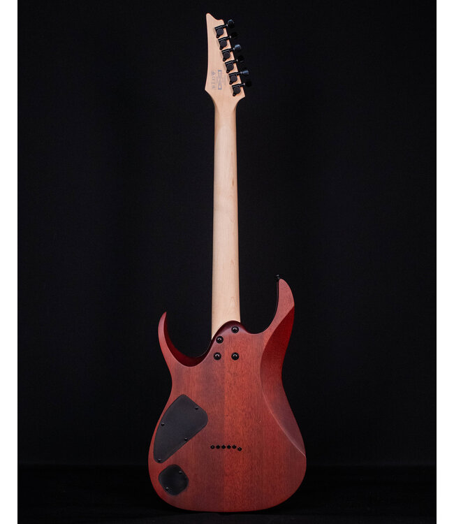 Ibanez RGA42FM Flame Maple Top Electric, Dragon Eye Flat