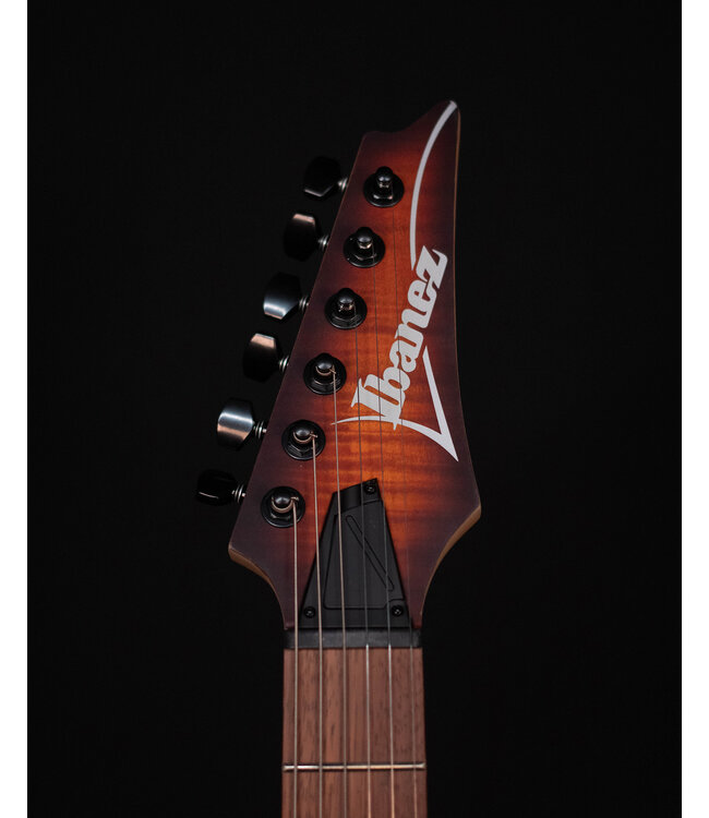 Ibanez RGA42FM Flame Maple Top Electric, Dragon Eye Flat