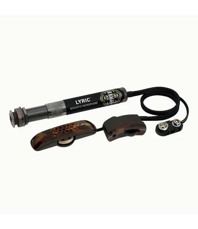 LR Baggs Lyric Pickup for Steel String