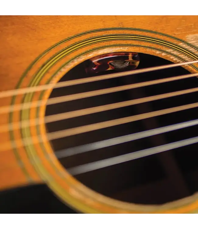 LR Baggs Lyric Pickup for Steel String